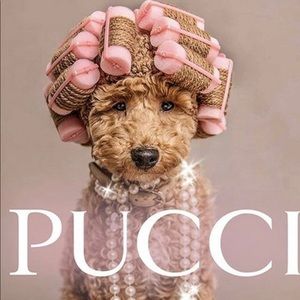 Accepting reasonable offers 🙋🏻‍♀️